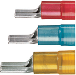 ��Ե���ζ���